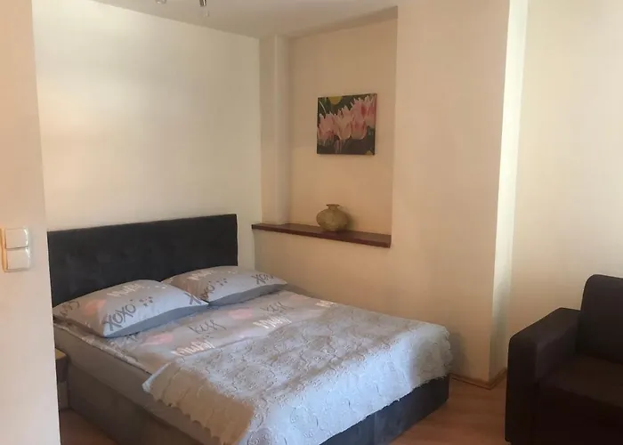 公寓 Apartament Studio 扎科帕内