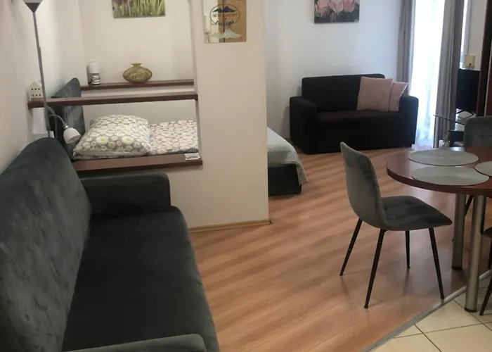 Apartament Studio 扎科帕内
