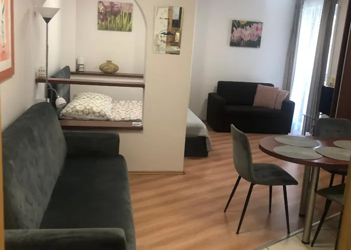 Apartament Studio 公寓 *